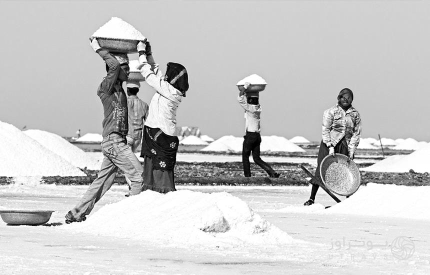 Salt marsh in India